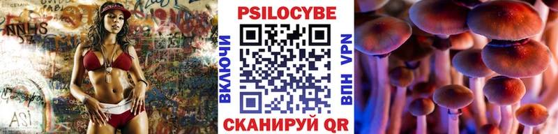 Псилоцибиновые грибы Psilocybine cubensis  Полевской 
